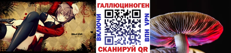 что такое   Полярный  Псилоцибиновые грибы Psilocybine cubensis 